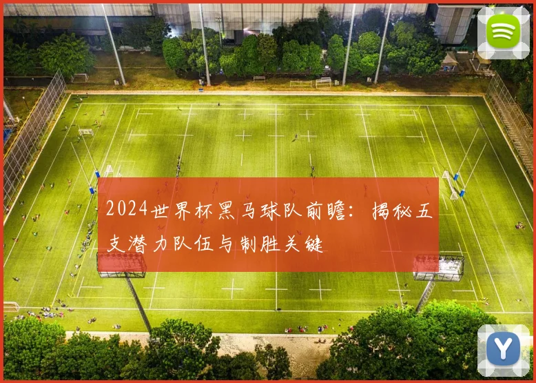 2024世界杯黑马球队前瞻:揭秘五支潜力队伍与制胜关键